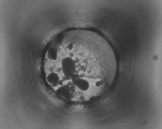 X0000114580687200911161310