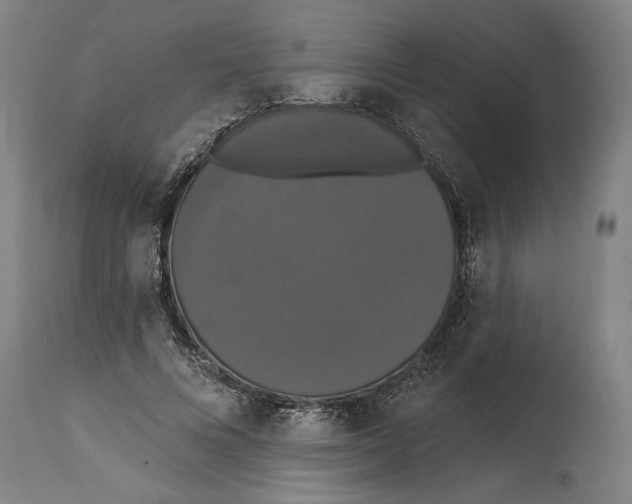 X0000114580688200911161310