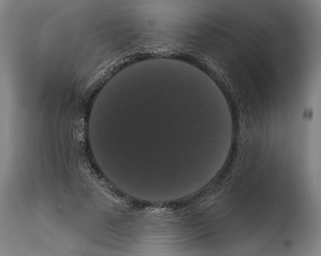 X0000114580689200911161310