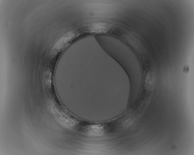 X0000114580692200911161310