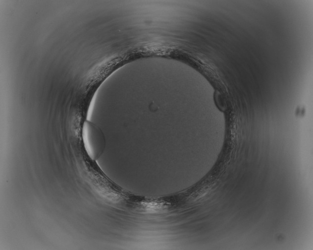 X0000114580693200911161310