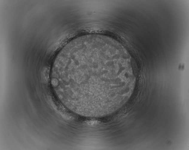 X0000114580695200911161310