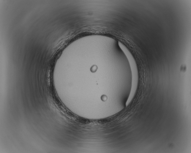 X0000114580696200911161310