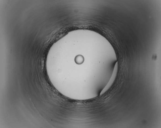 X0000114580697200911161310