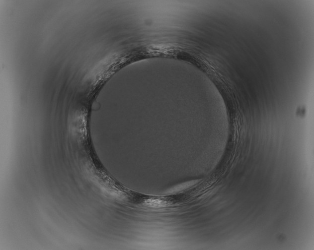 X0000114580699200911161310