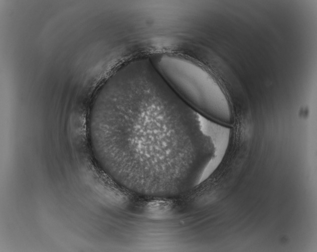 X0000114580700200911161310