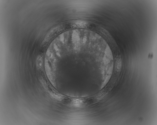 X0000114580701200911161310