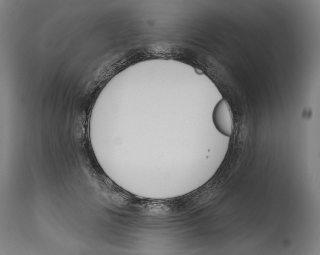 X0000114580702200911161309