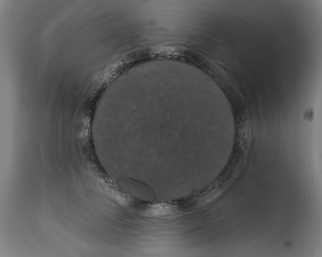 X0000114580708200911161309