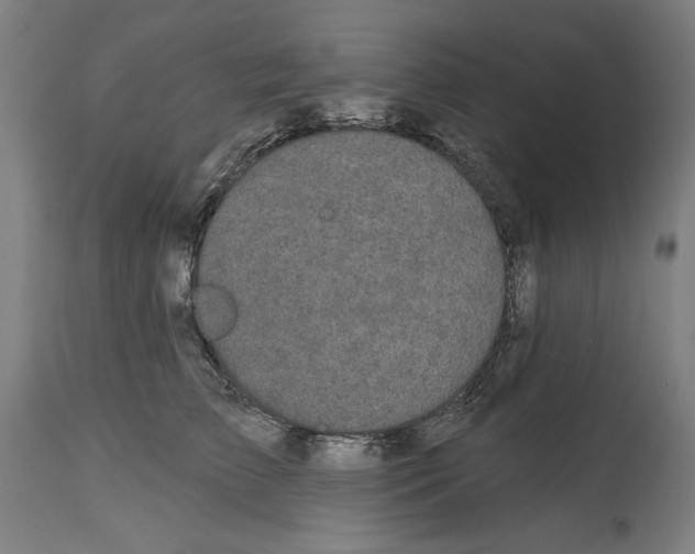 X0000114580709200911161309