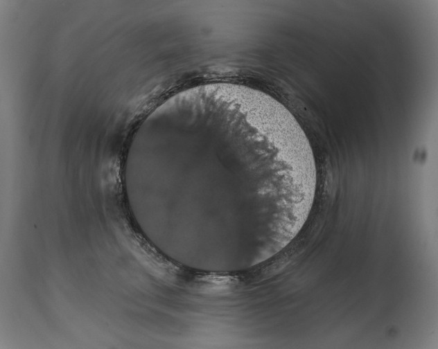 X0000114580711200911161309