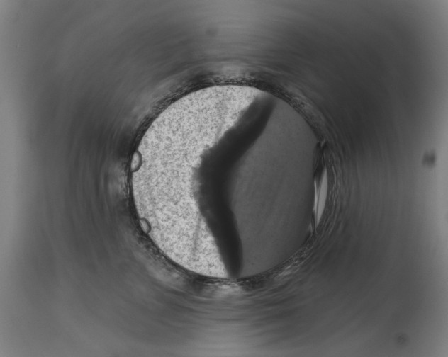 X0000114580715200911161309