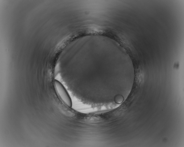 X0000114580716200911161309