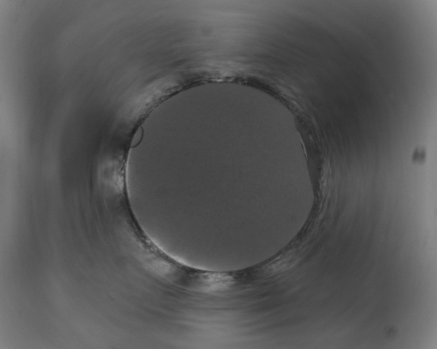 X0000114580719200911161309