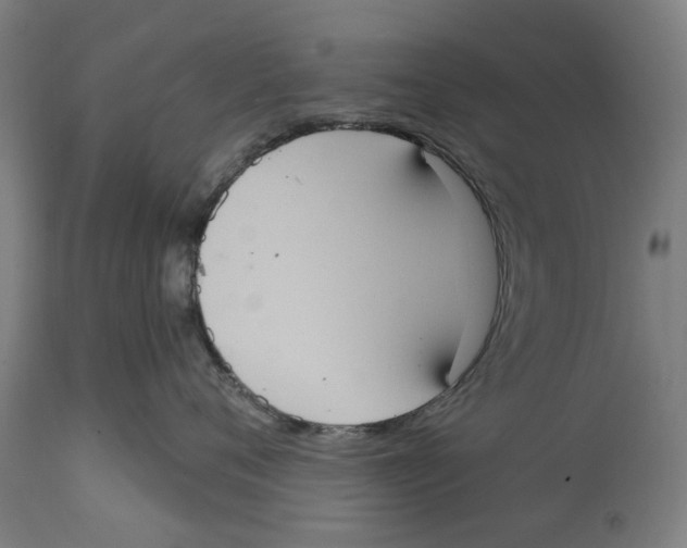 X0000114580720200911161309