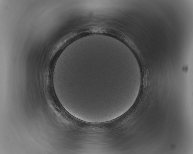 X0000114580722200911161308