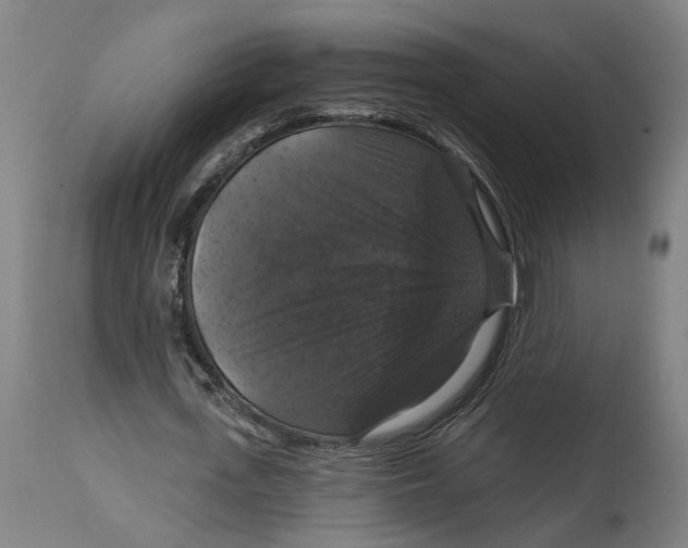 X0000114580723200911161308