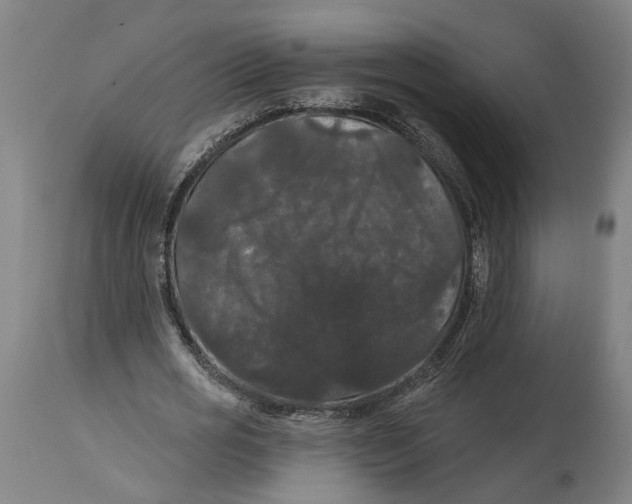 X0000114580725200911161308