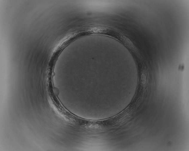 X0000114580730200911161309