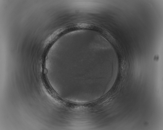 X0000114580734200911161309