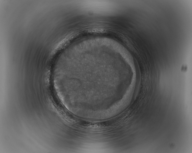 X0000114580735200911161309