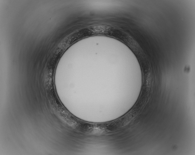 X0000114580737200911161309