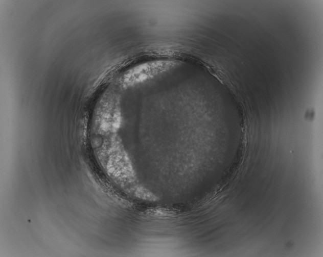 X0000114580739200911161309