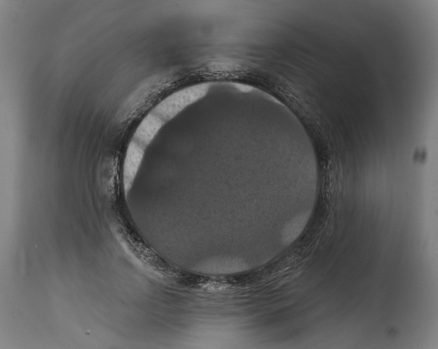 X0000114580742200911161309