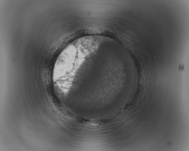 X0000114580743200911161309