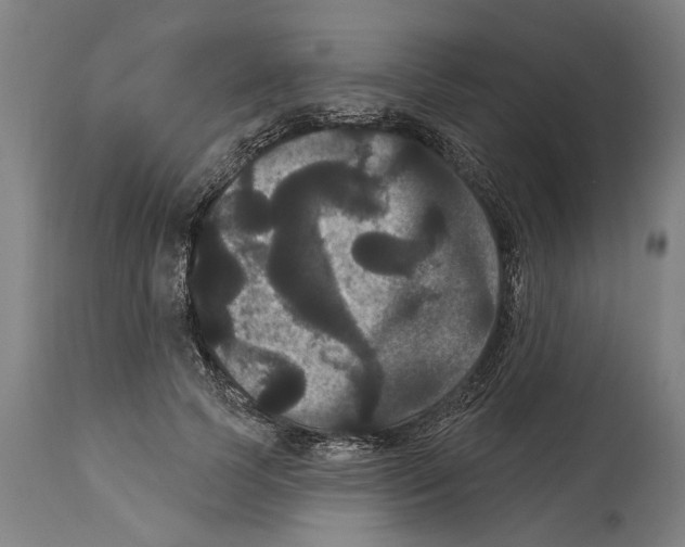 X0000114580745200911161309