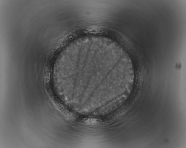 X0000114580751200911161309