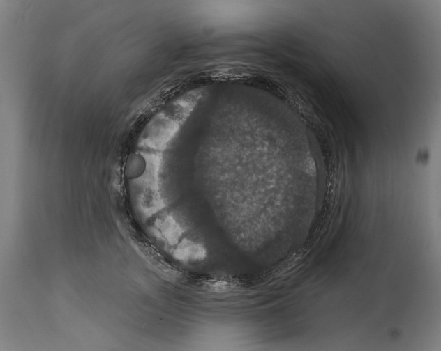 X0000114580755200911161309