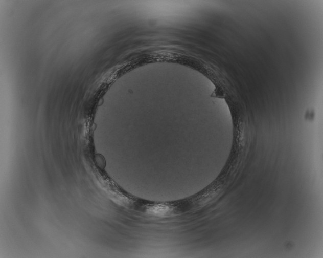 X0000114580759200911161309