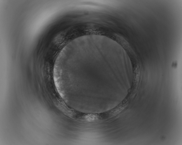 X0000114580762200911161309