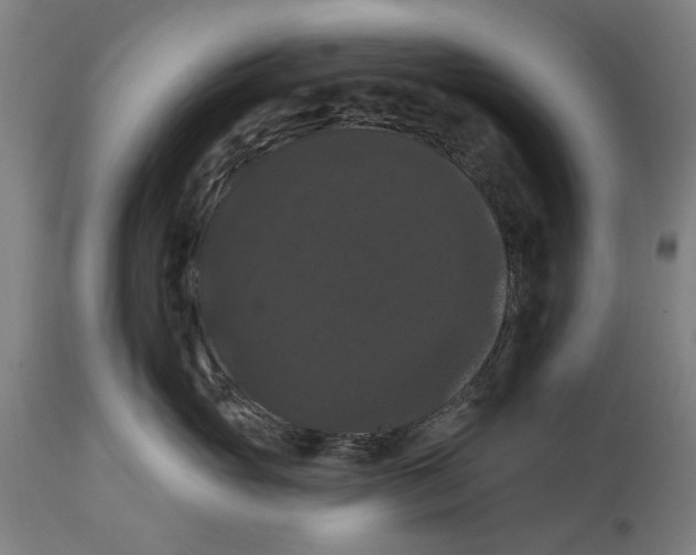 X0000114580765200911161309