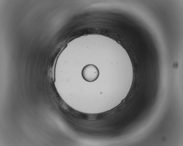 X0000114580766200911161309