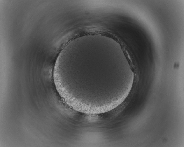 X0000114580767200911161309