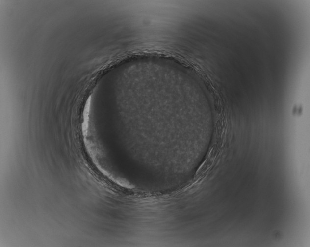 X0000114580769200911161308