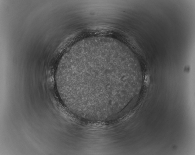 X0000114580771200911161308