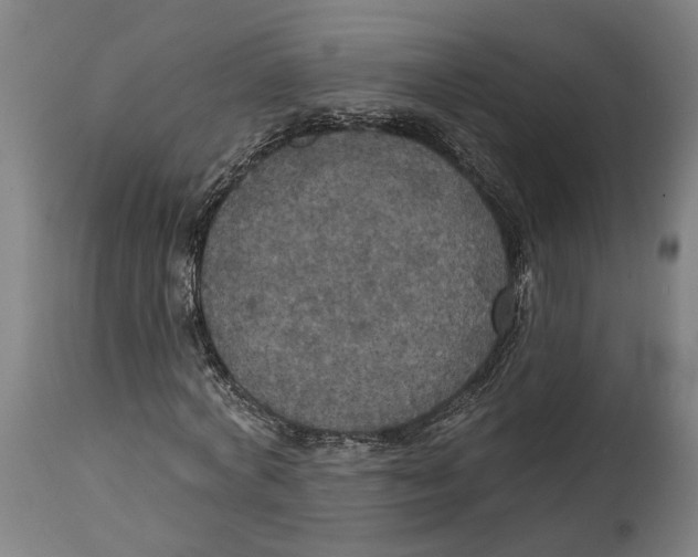 X0000114580772200911161308