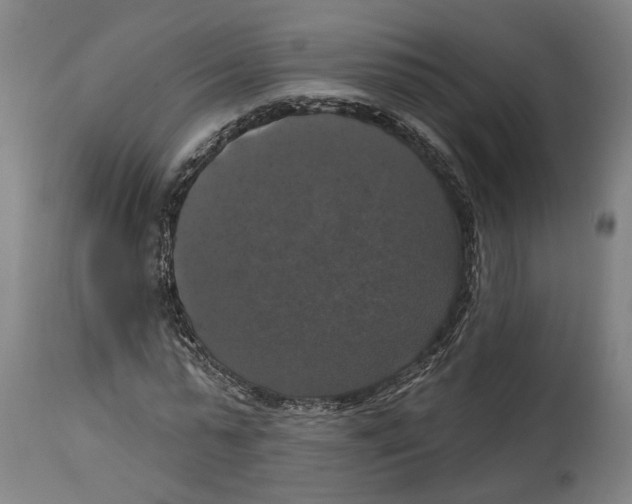 X0000114580775200911161308