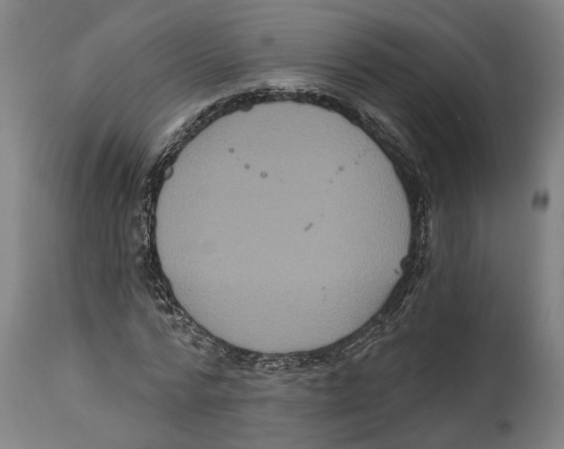 X0000114580776200911161308