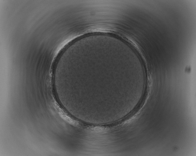 X0000114580779200911161308