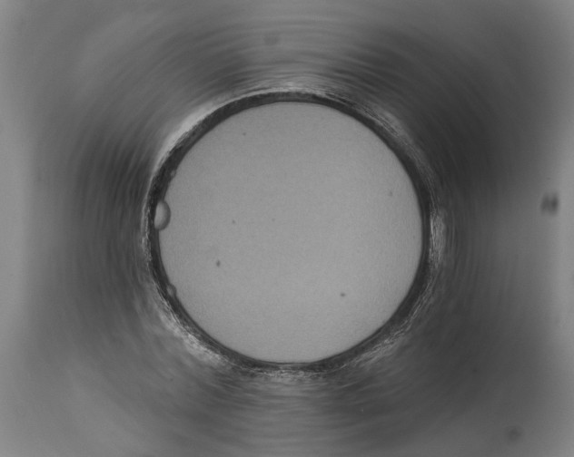 X0000114580780200911161308