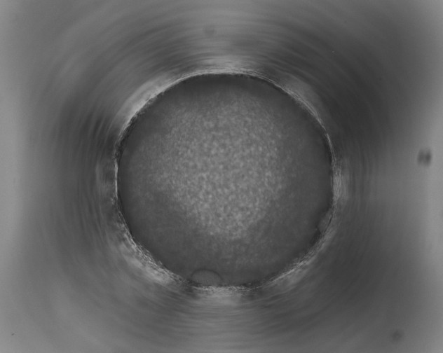 X0000114580781200911161308