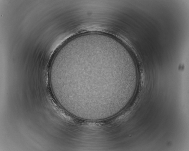 X0000114580782200911161308