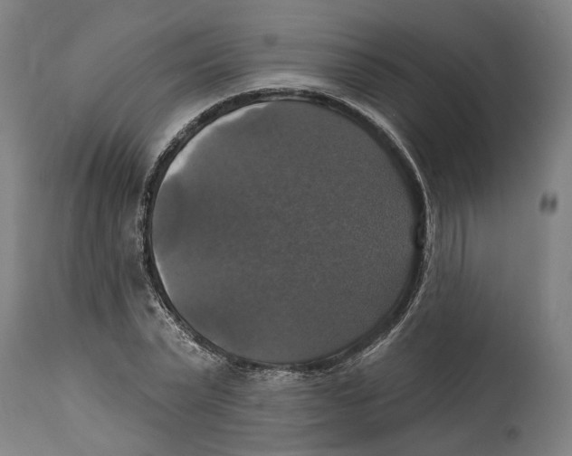 X0000114580783200911161308