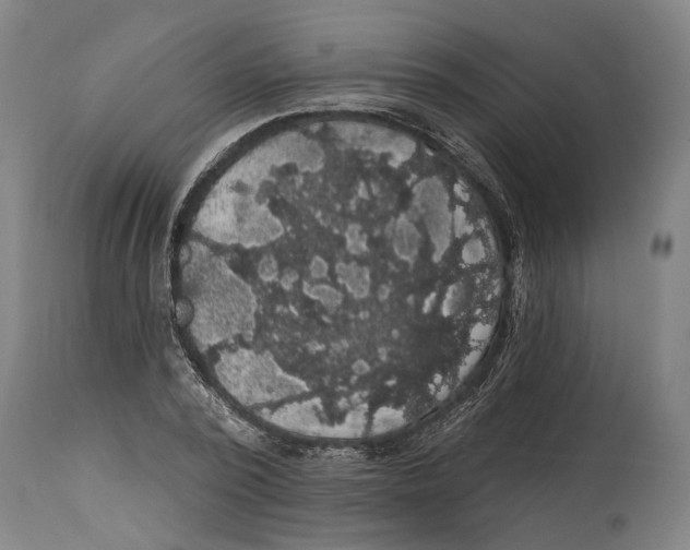 X0000114580784200911161308