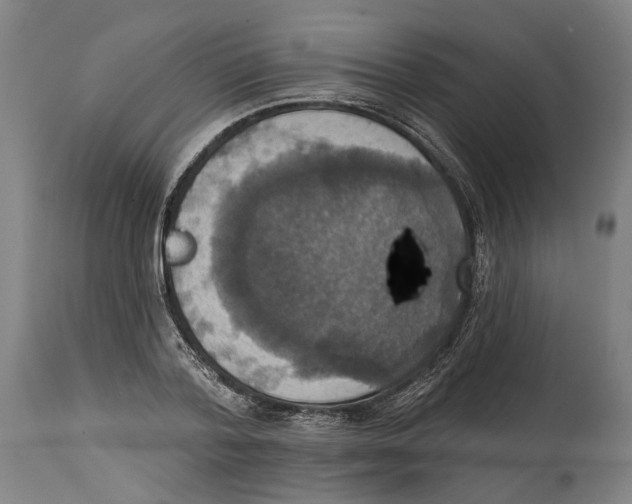 X0000114580788200911161308