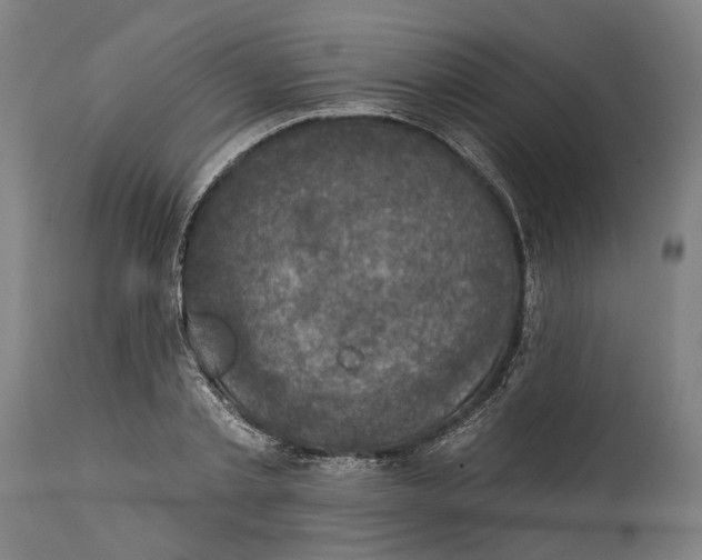 X0000114580789200911161308